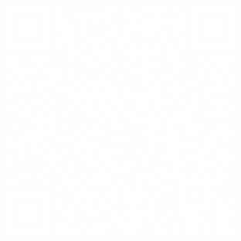 TRUE Original Document QRCODE