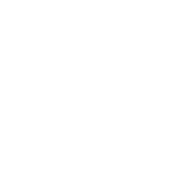 TRUE Original Document QRCODE