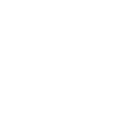 TRUE Original Document QRCODE