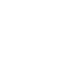 TRUE Original Document QRCODE