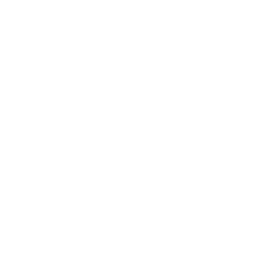 TRUE Original Document QRCODE