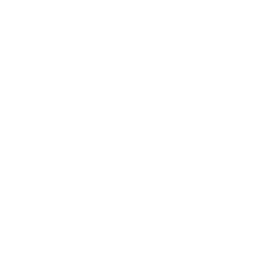 TRUE Original Document QRCODE