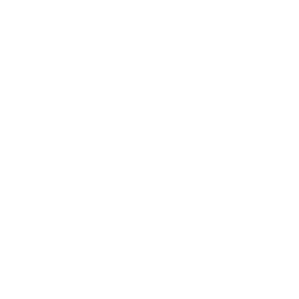 TRUE Original Document QRCODE