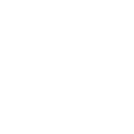 TRUE Original Document QRCODE