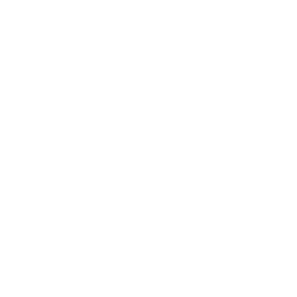 TRUE Original Document QRCODE