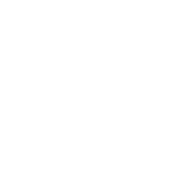 TRUE Original Document QRCODE