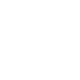 TRUE Original Document QRCODE