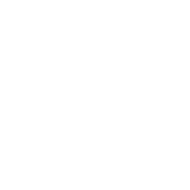 TRUE Original Document QRCODE
