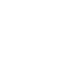 TRUE Original Document QRCODE