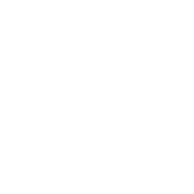 TRUE Original Document QRCODE