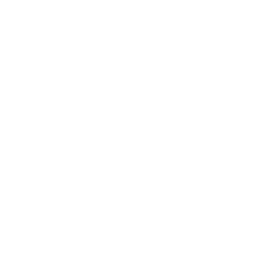 TRUE Original Document QRCODE