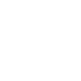 TRUE Original Document QRCODE