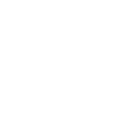 TRUE Original Document QRCODE