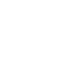 TRUE Original Document QRCODE
