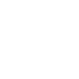 TRUE Original Document QRCODE