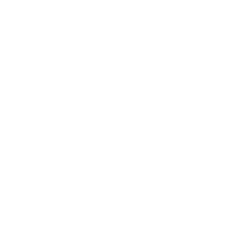 TRUE Original Document QRCODE