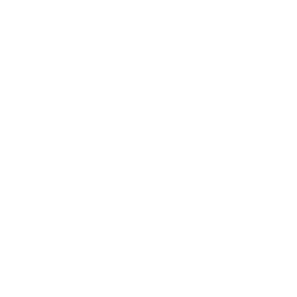 TRUE Original Document QRCODE