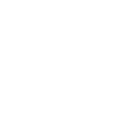TRUE Original Document QRCODE
