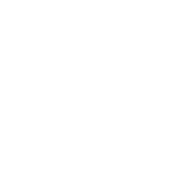 TRUE Original Document QRCODE