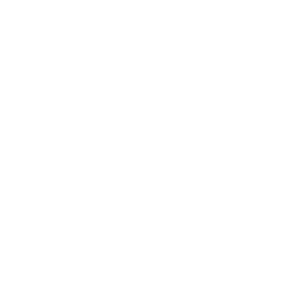 TRUE Original Document QRCODE