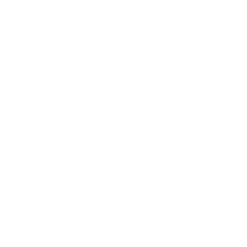 TRUE Original Document QRCODE