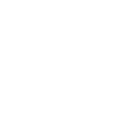 TRUE Original Document QRCODE