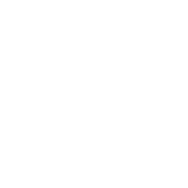 TRUE Original Document QRCODE