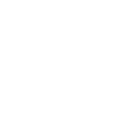 TRUE Original Document QRCODE