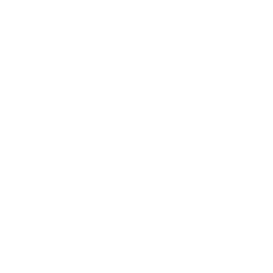 TRUE Original Document QRCODE