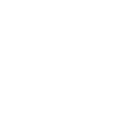 TRUE Original Document QRCODE