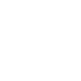 TRUE Original Document QRCODE
