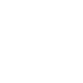TRUE Original Document QRCODE