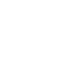 TRUE Original Document QRCODE