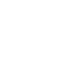 TRUE Original Document QRCODE