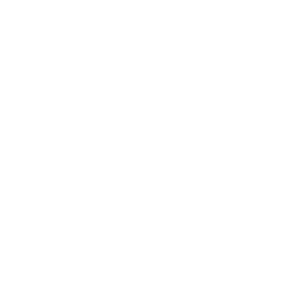 TRUE Original Document QRCODE