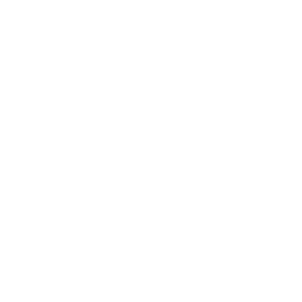 TRUE Original Document QRCODE