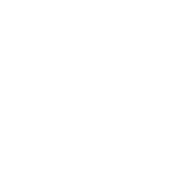 TRUE Original Document QRCODE
