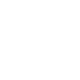 TRUE Original Document QRCODE