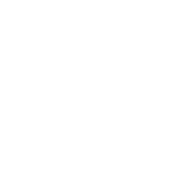 TRUE Original Document QRCODE