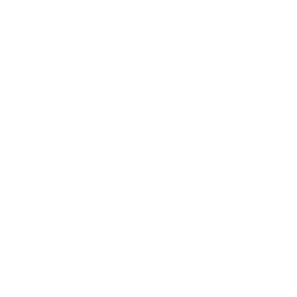 TRUE Original Document QRCODE