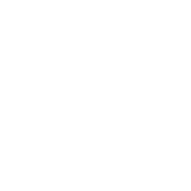 TRUE Original Document QRCODE