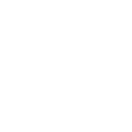 TRUE Original Document QRCODE