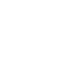 TRUE Original Document QRCODE