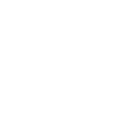 TRUE Original Document QRCODE