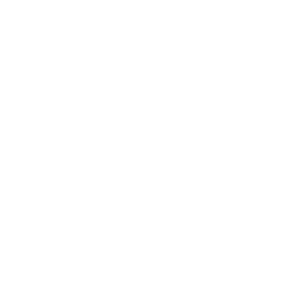TRUE Original Document QRCODE