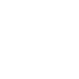 TRUE Original Document QRCODE