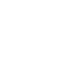 TRUE Original Document QRCODE