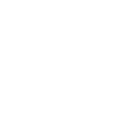 TRUE Original Document QRCODE