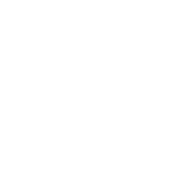 TRUE Original Document QRCODE
