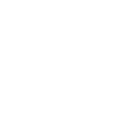 TRUE Original Document QRCODE